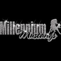 GLT1 SILVER GLITTER Thumbnail